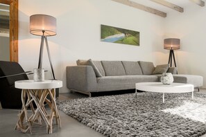 50-cm flat-screen TV with digital channels, TV