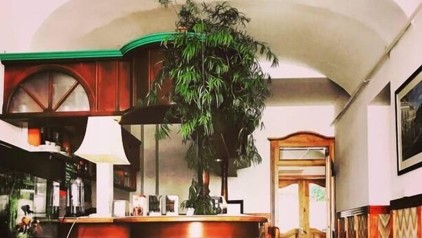A bar area with a wooden counter, a hanging plant, and a view of the street outside. - Várkapu Panzió (Eger)