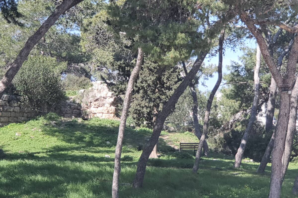 A park with trees, a stone wall, and a bench.