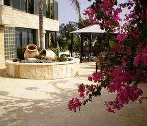 Terrace/patio - Hotel Marom (Haifa)