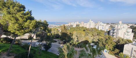 A cityscape with a view of buildings, trees, and a road.