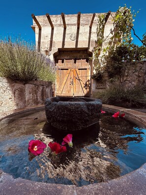 إطلالة على الحديقة