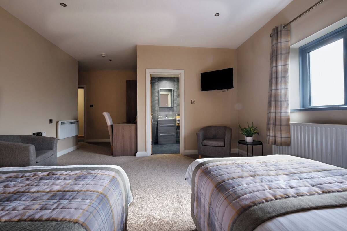 A hotel room with two beds, a TV, a chair, a small table with a plant, and a window with curtains.