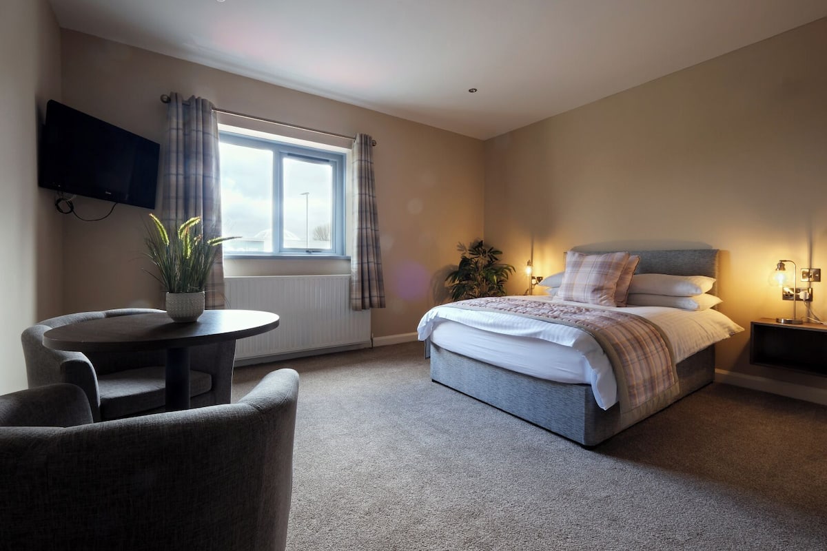 A bedroom with a bed, a TV mounted on the wall, a window with curtains, a small table with a plant, and a bedside lamp.