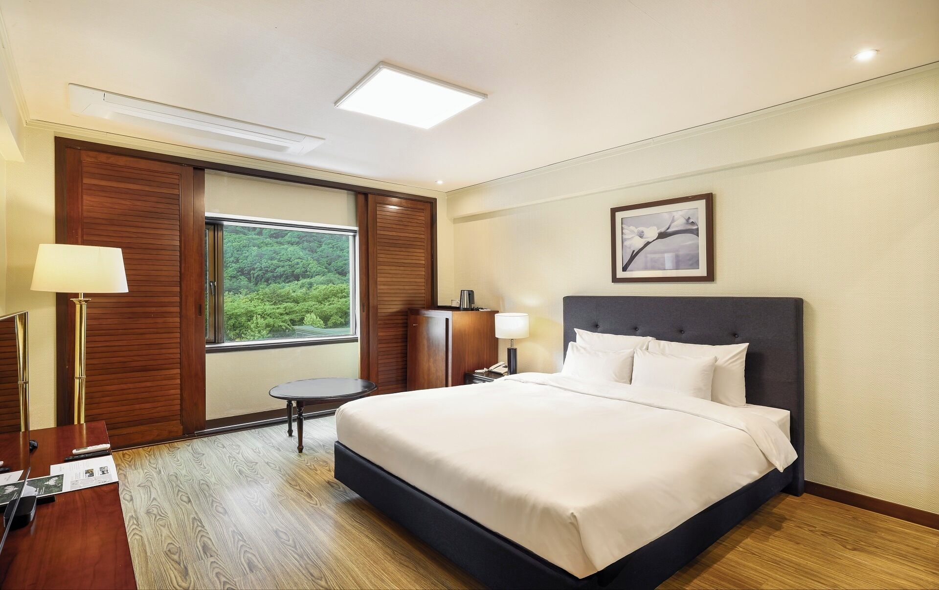 Literie de qualité supérieure, couette en duvet d'oie