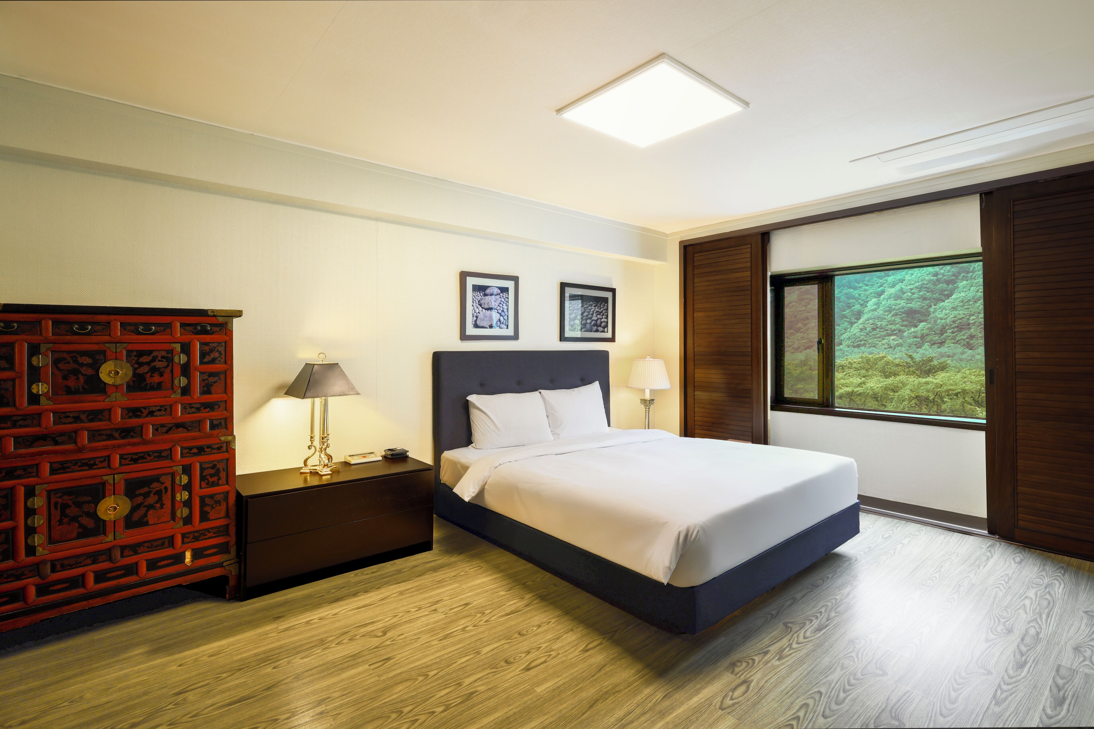 A bedroom with a bed, nightstands, a dresser, two framed pictures, a window with a view, and a ceiling light.