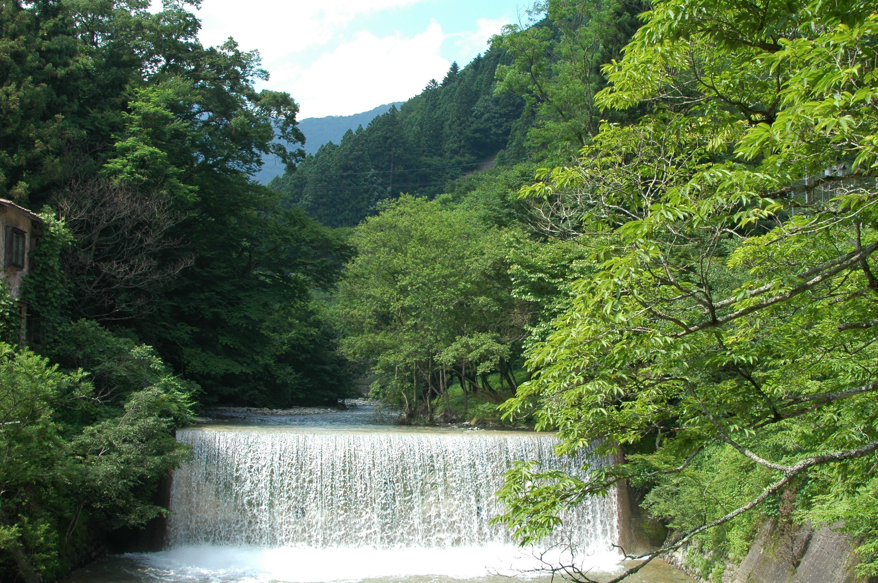 Et vandfald omgivet af tæt skov.
