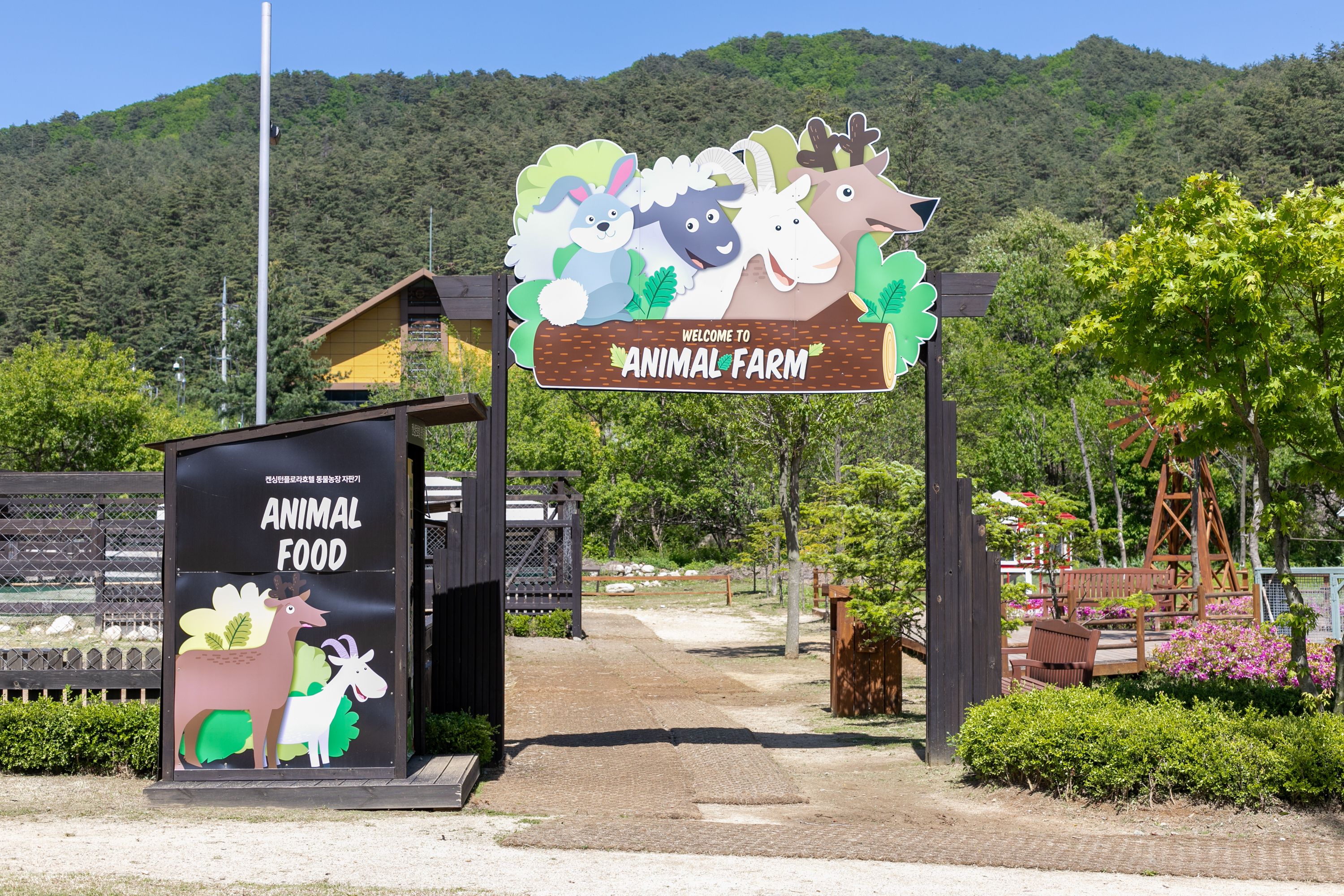 children’s activities