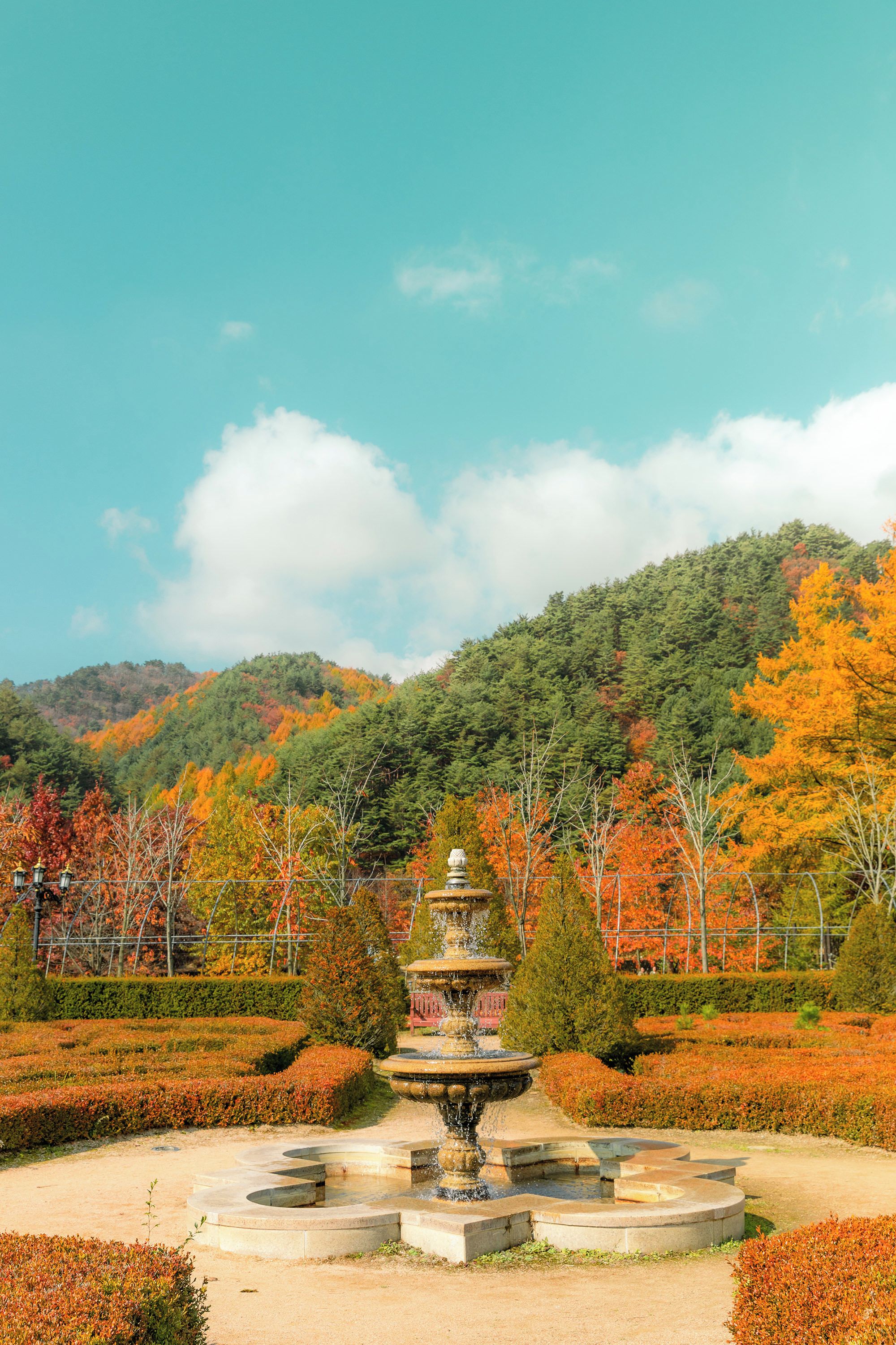 정원