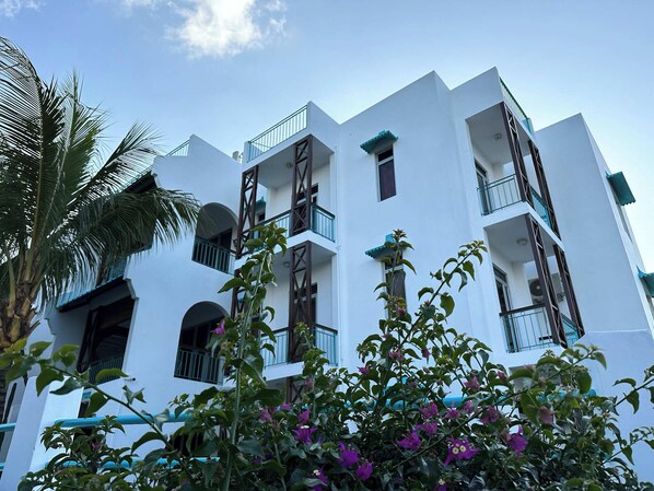 Apartment, 3 Bedrooms | View from room - Pingouinvillas (Blue Bay)