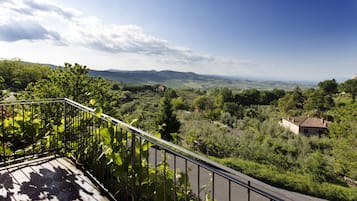Vista desde la propiedad