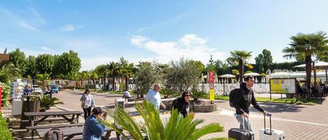A public square with benches, a fountain, and palm trees.