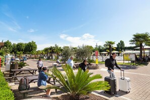 Vista des de l'allotjament
