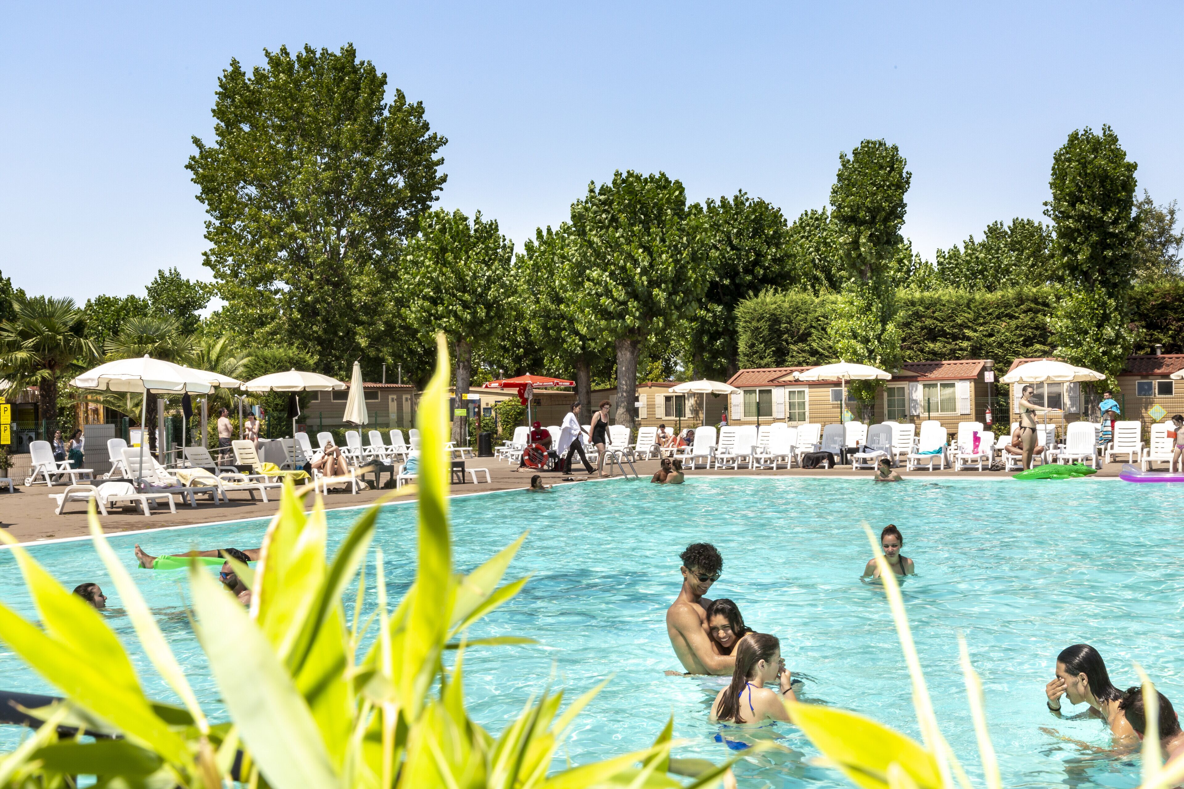 Seasonal outdoor pool, pool umbrellas, pool loungers