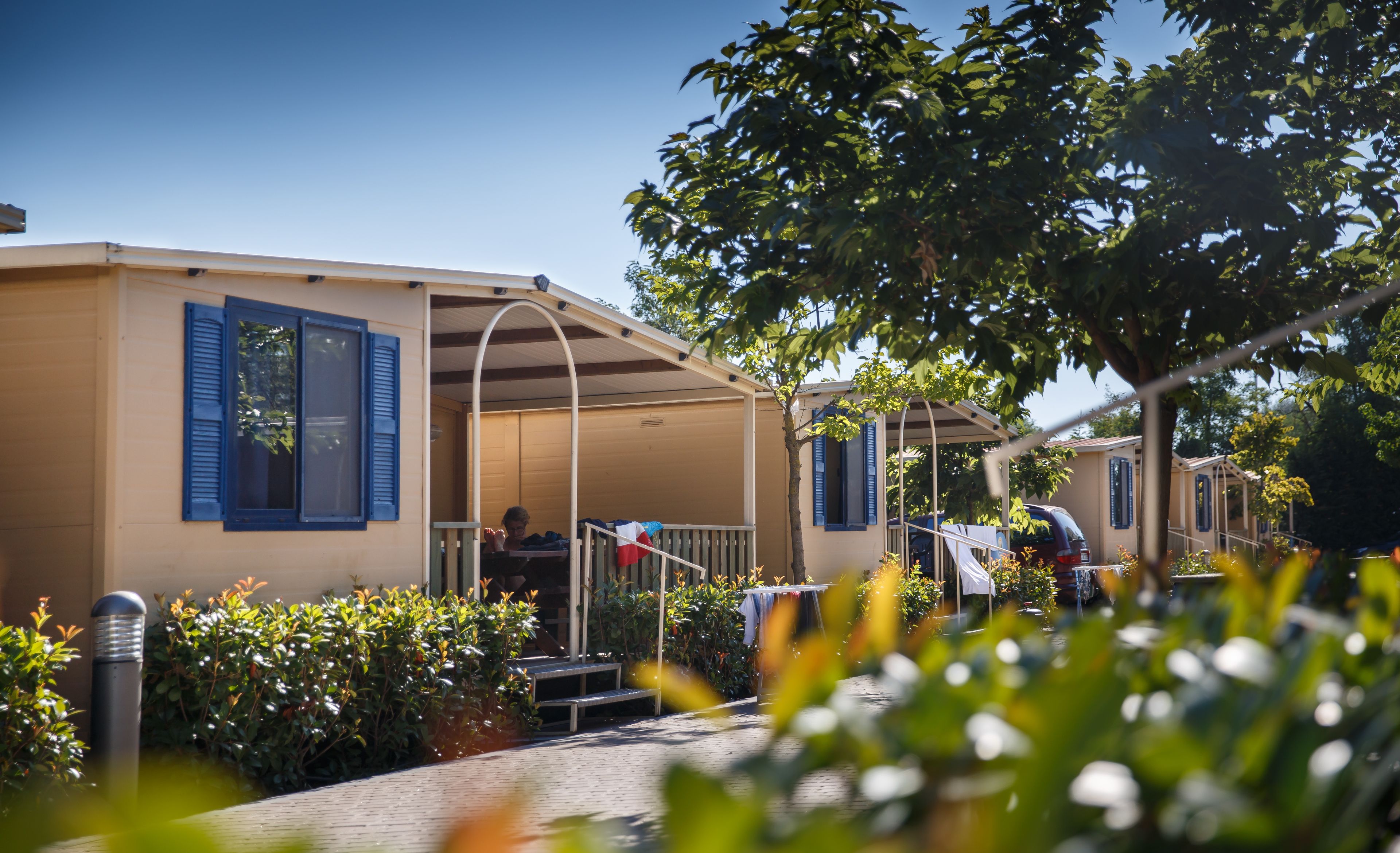 Une rangée de maisons mobiles dotées d’un espace extérieur couvert, un arbre au premier plan et une voiture garée.