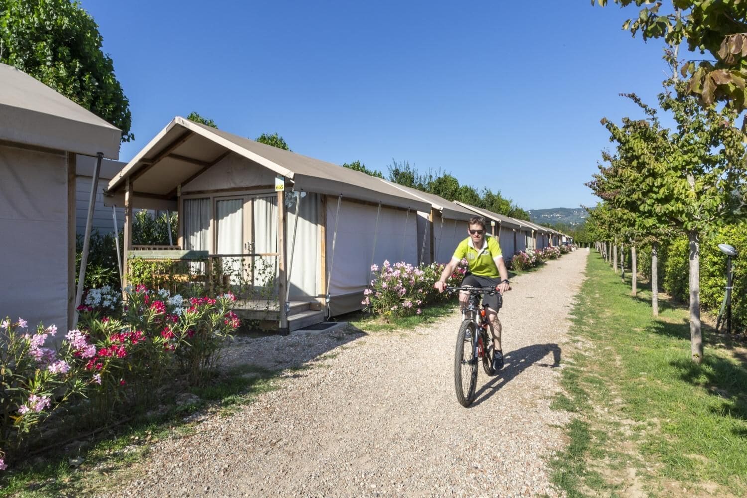A row of single-story mobile homes with a gravel path in between.