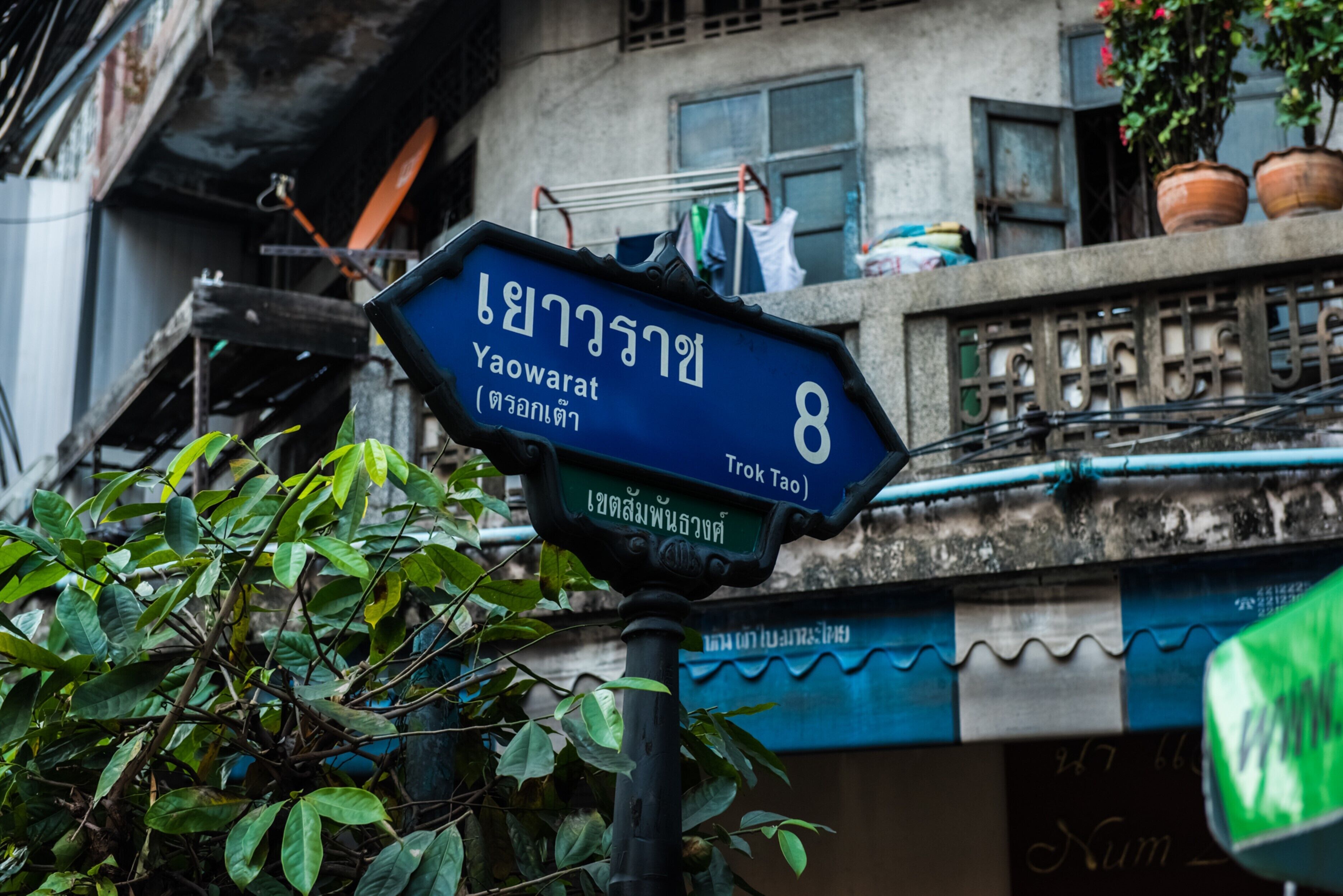 A street sign with Thai text, a building with a blue awning, and a plant in the foreground.