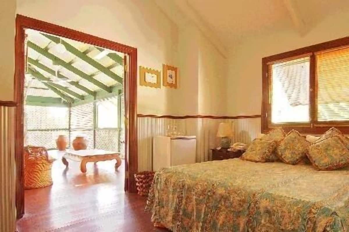 Library Room | In-room safe, soundproofing, iron/ironing board, WiFi (free)