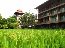 A hotel with multiple floors, a traditional building with a pyramid roof, and a lush green rice field in the foreground.
