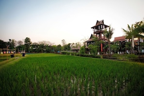 A traditional building with a multi-tiered roof and a surrounding garden.