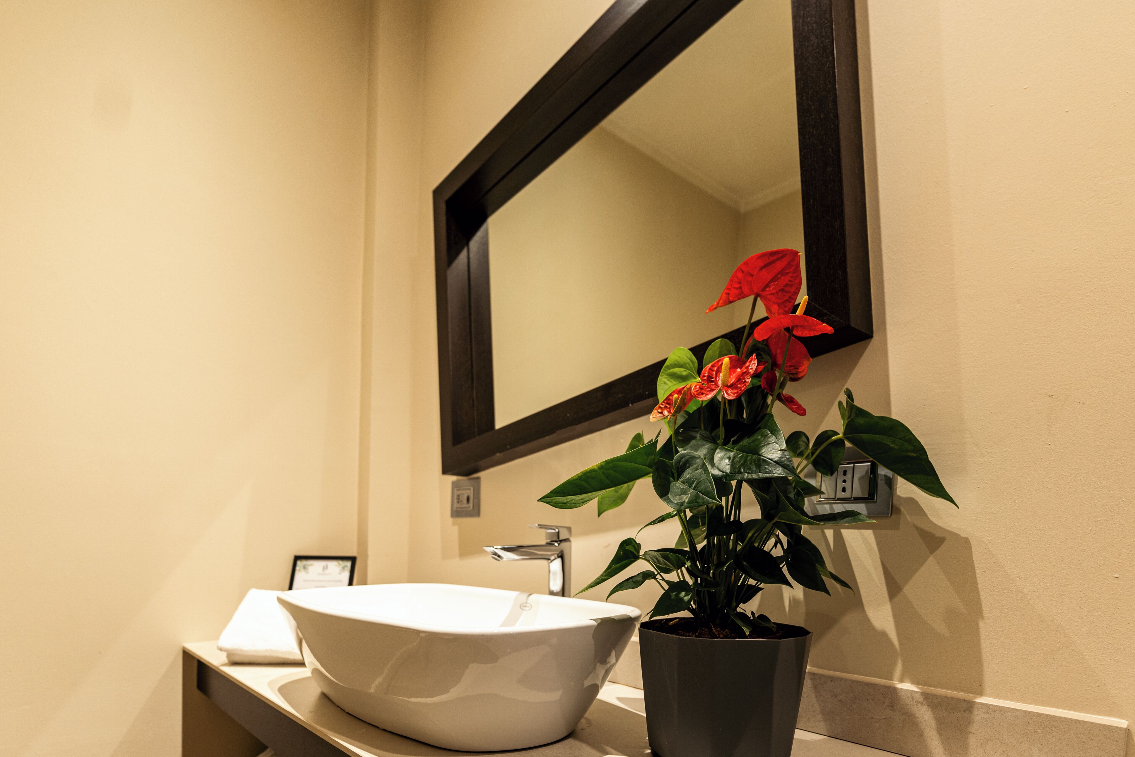 Foto - TownHouse 33 Boutique Hotel