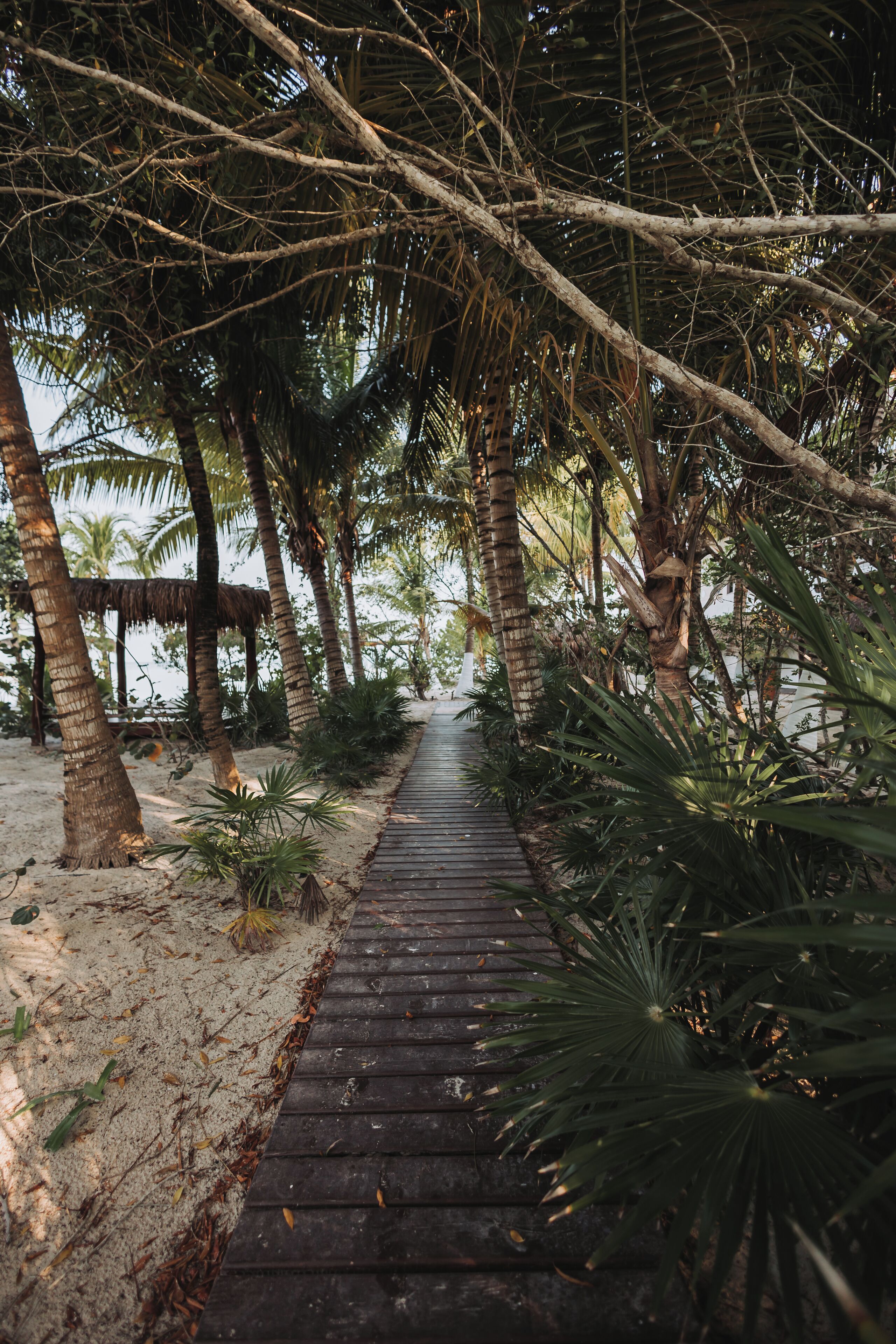 Foto - Hotel Las Nubes Holbox