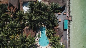 An aerial view of a resort with a central swimming pool surrounded by palm trees, a wooden deck, and a rocky shoreline. - Las Nubes de Holbox (Isla Holbox)