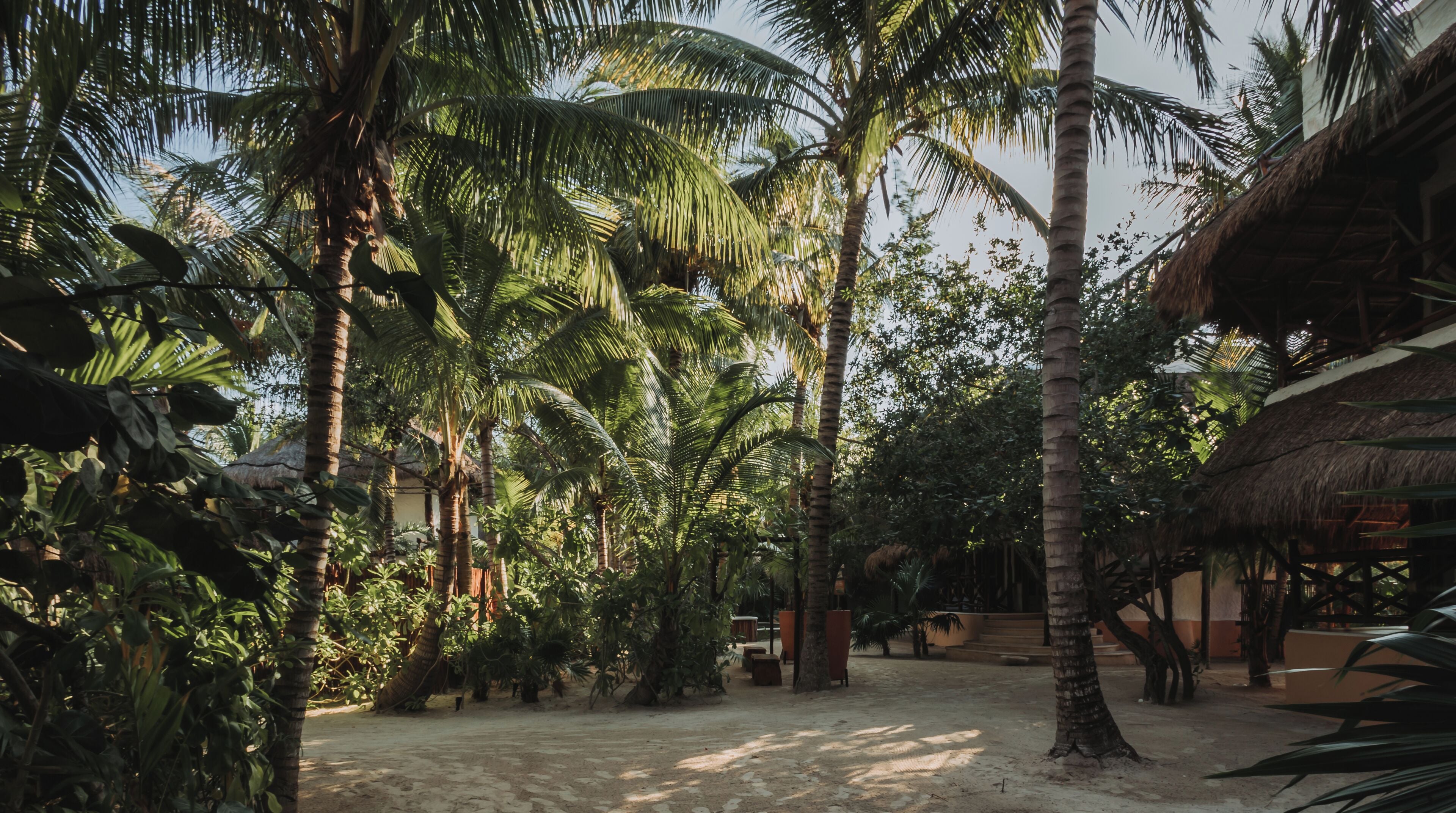 Photo - Hotel Las Nubes Holbox