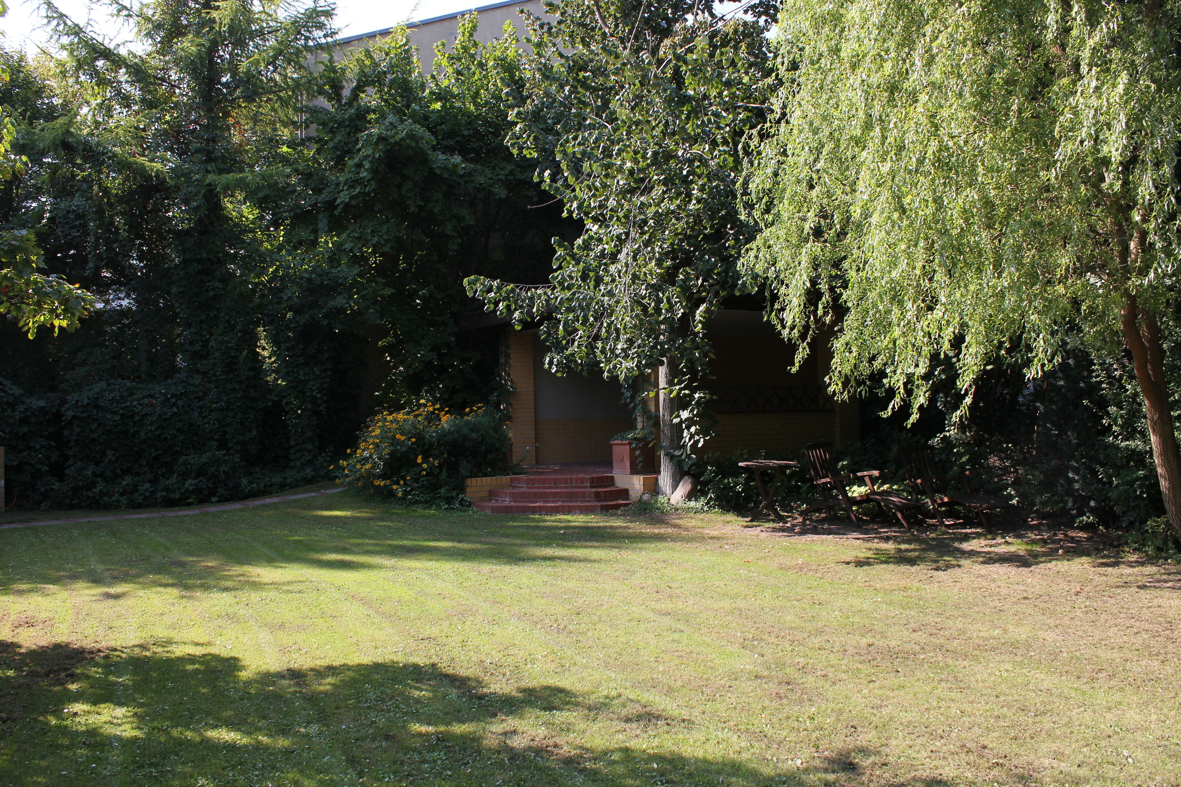 Un patio con césped, un edificio, escalones y un árbol.