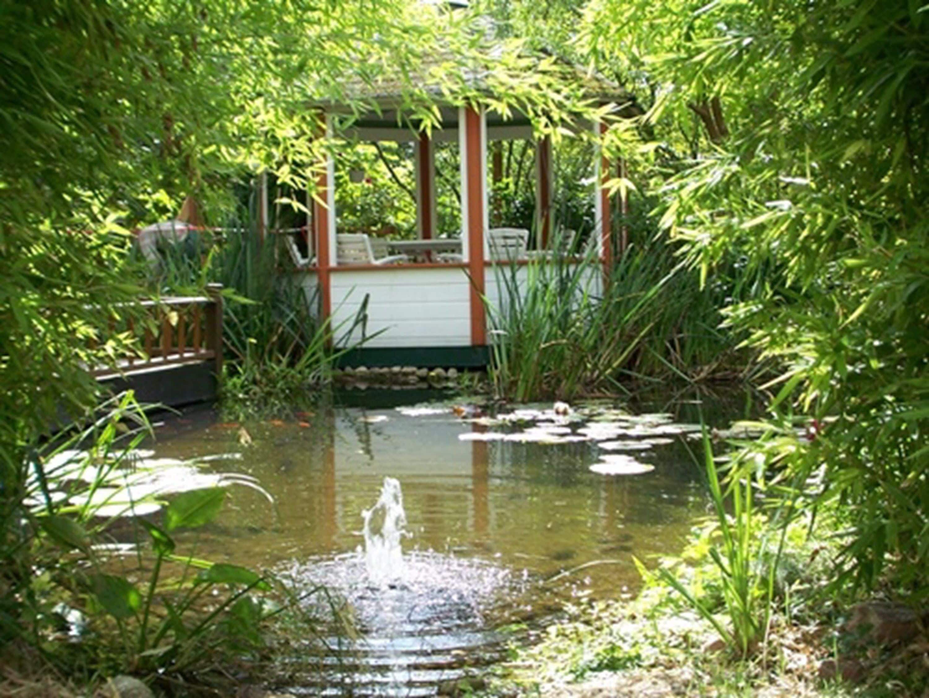 Un estanque tranquilo en un jardín con una fuente, rodeado de abundante vegetación y un pabellón.