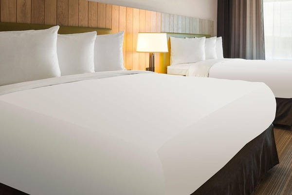 Desk, blackout drapes, iron/ironing board, rollaway beds