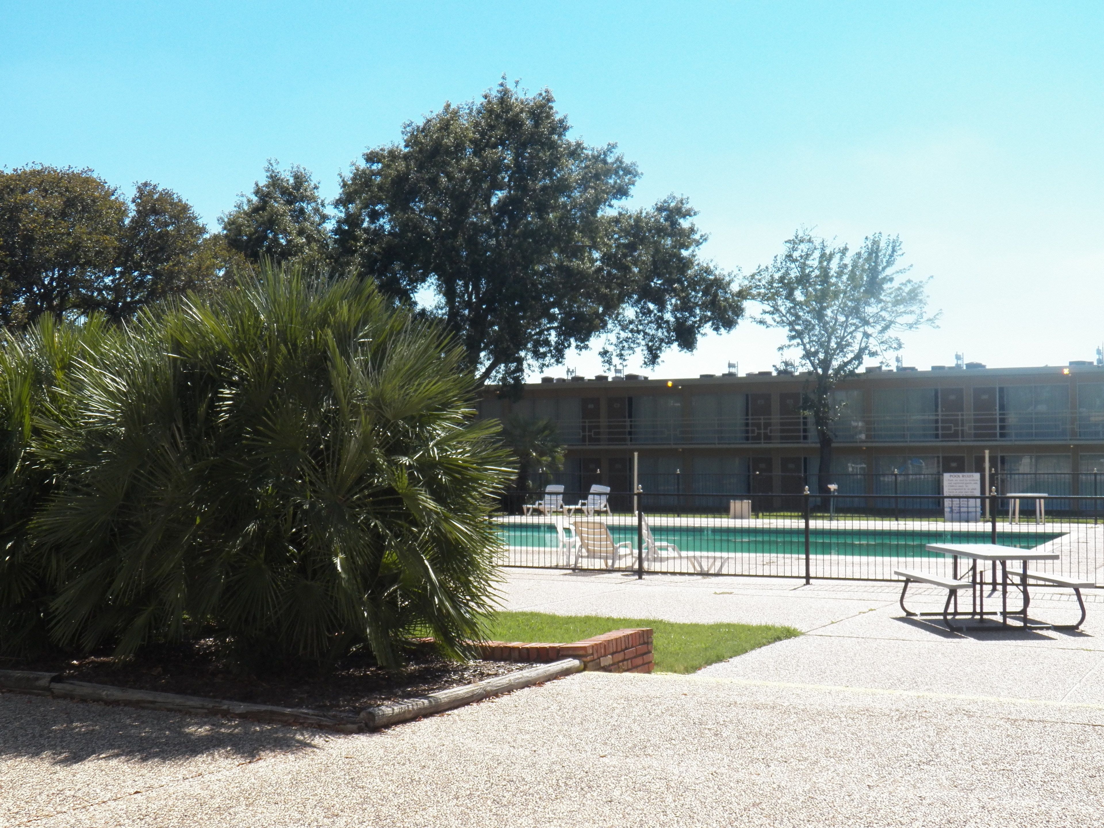 Hồ bơi ngoài trời 