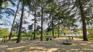 A park with playground equipment, benches, and tall trees.