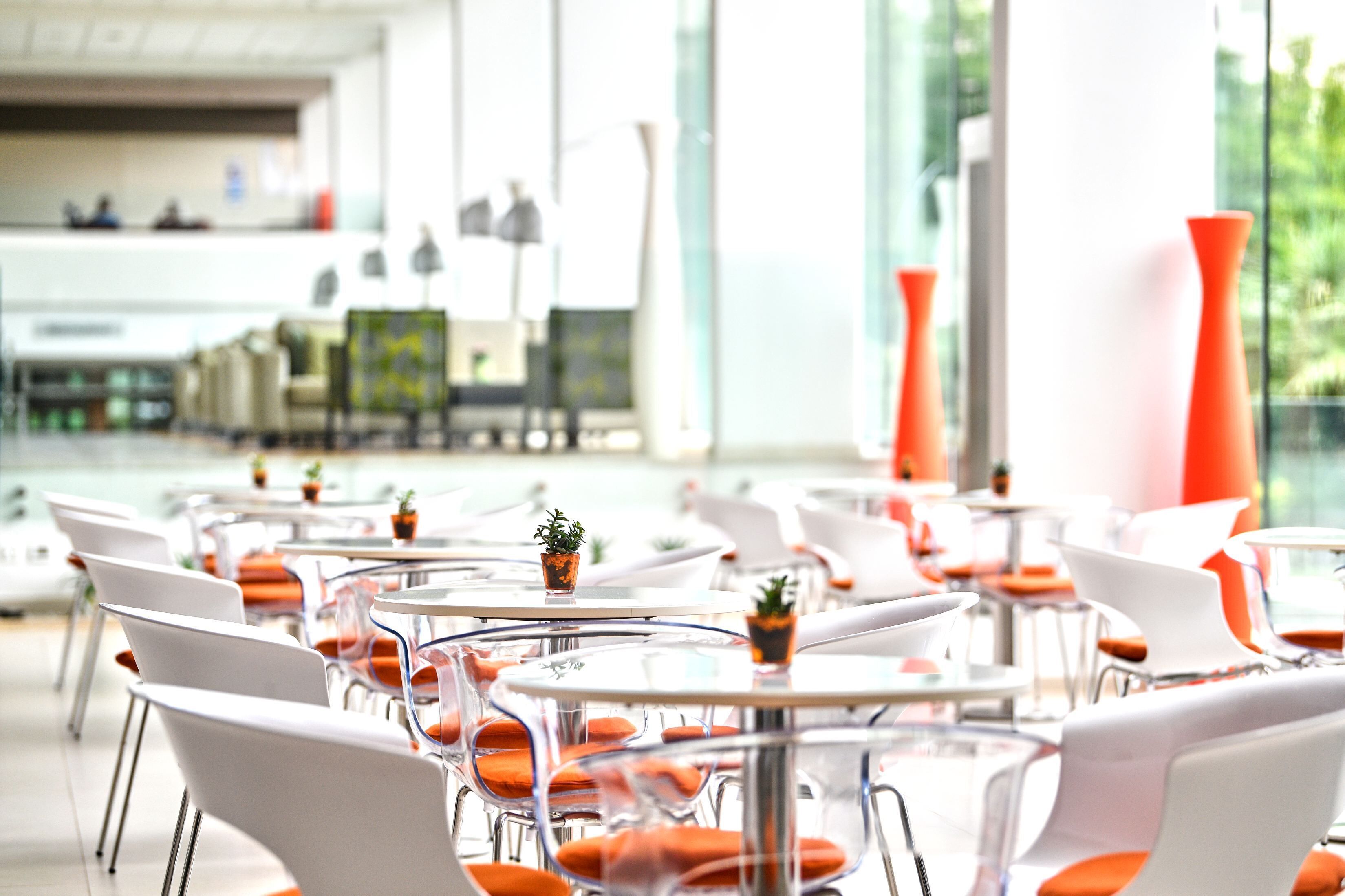 Foto - Hotel Mediteran Plava Laguna