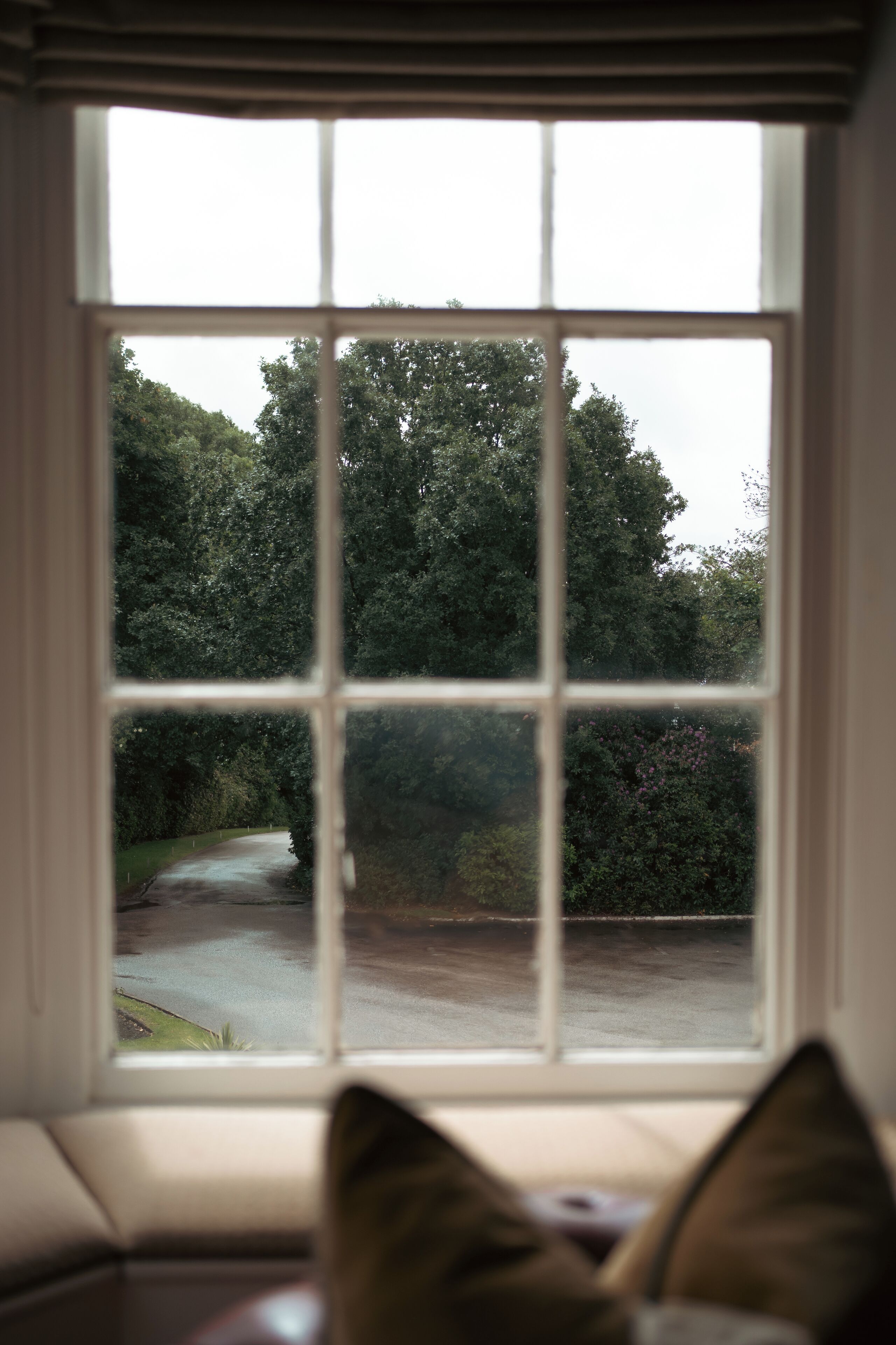 A window with a view of a road and trees.