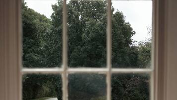 A window with a view of a road and trees.