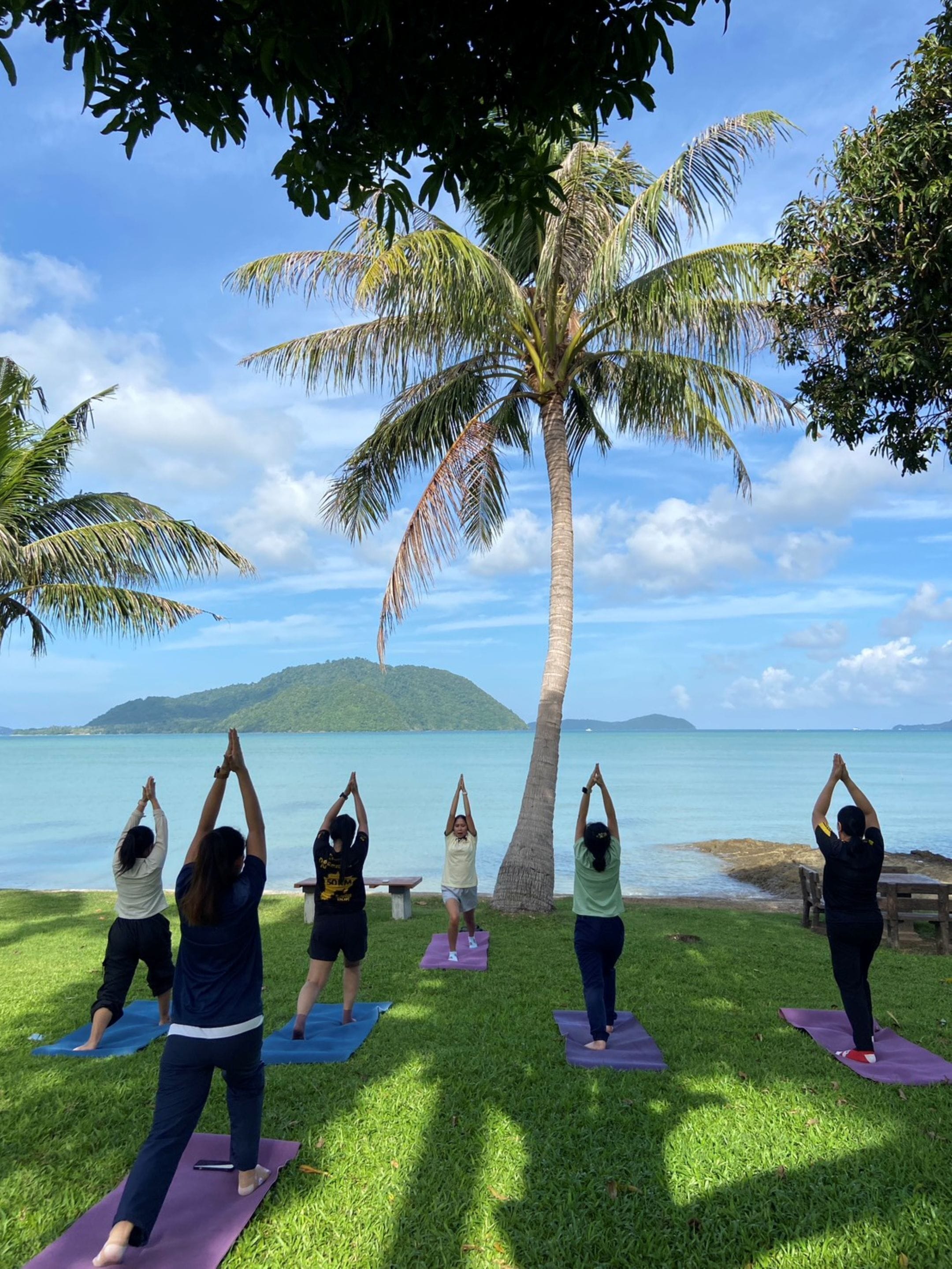 A group of people performing yoga on mats by a body of water with a palm tree and a distant island.