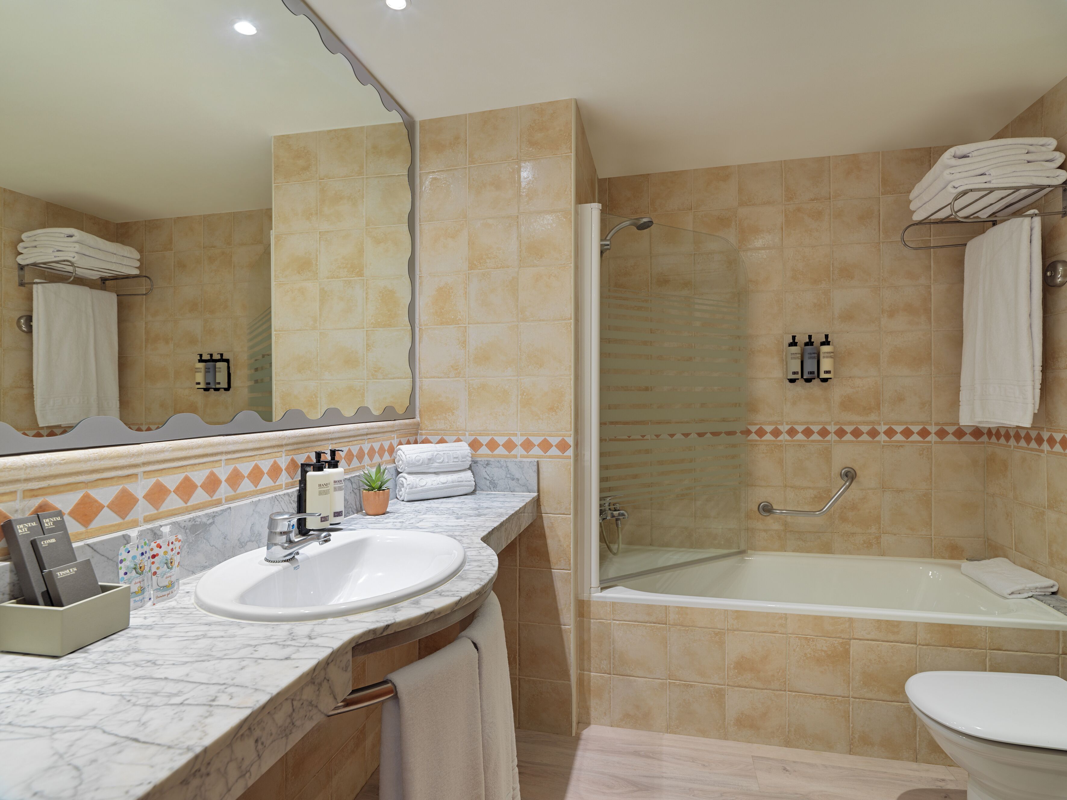 combined shower/bathtub, eco-friendly toiletries, hair dryer, bidet