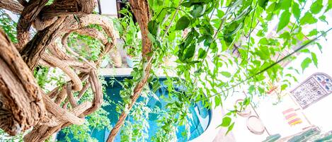 Surmatelas, coffres-forts dans les chambres, décoration personnalisée