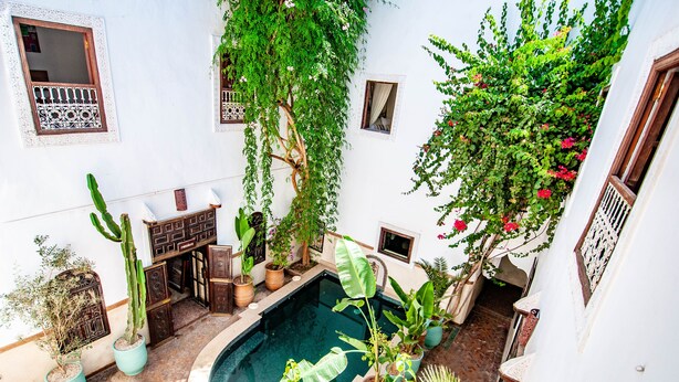 A courtyard with a swimming pool, potted plants, and a wooden bench.