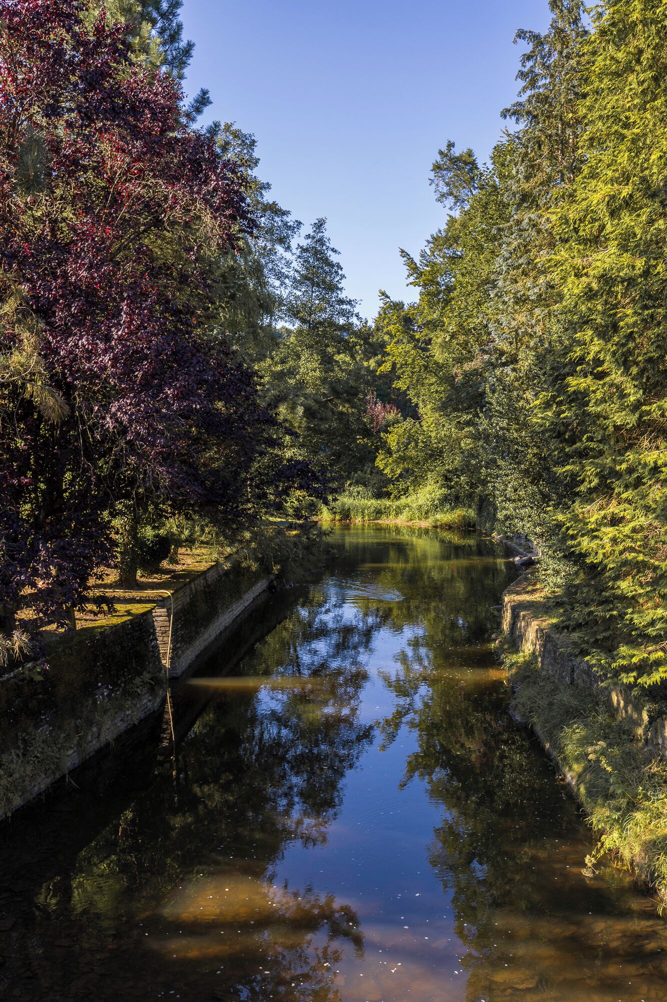 Un río tranquilo con un puente de piedra, rodeado de exuberante vegetación y árboles.