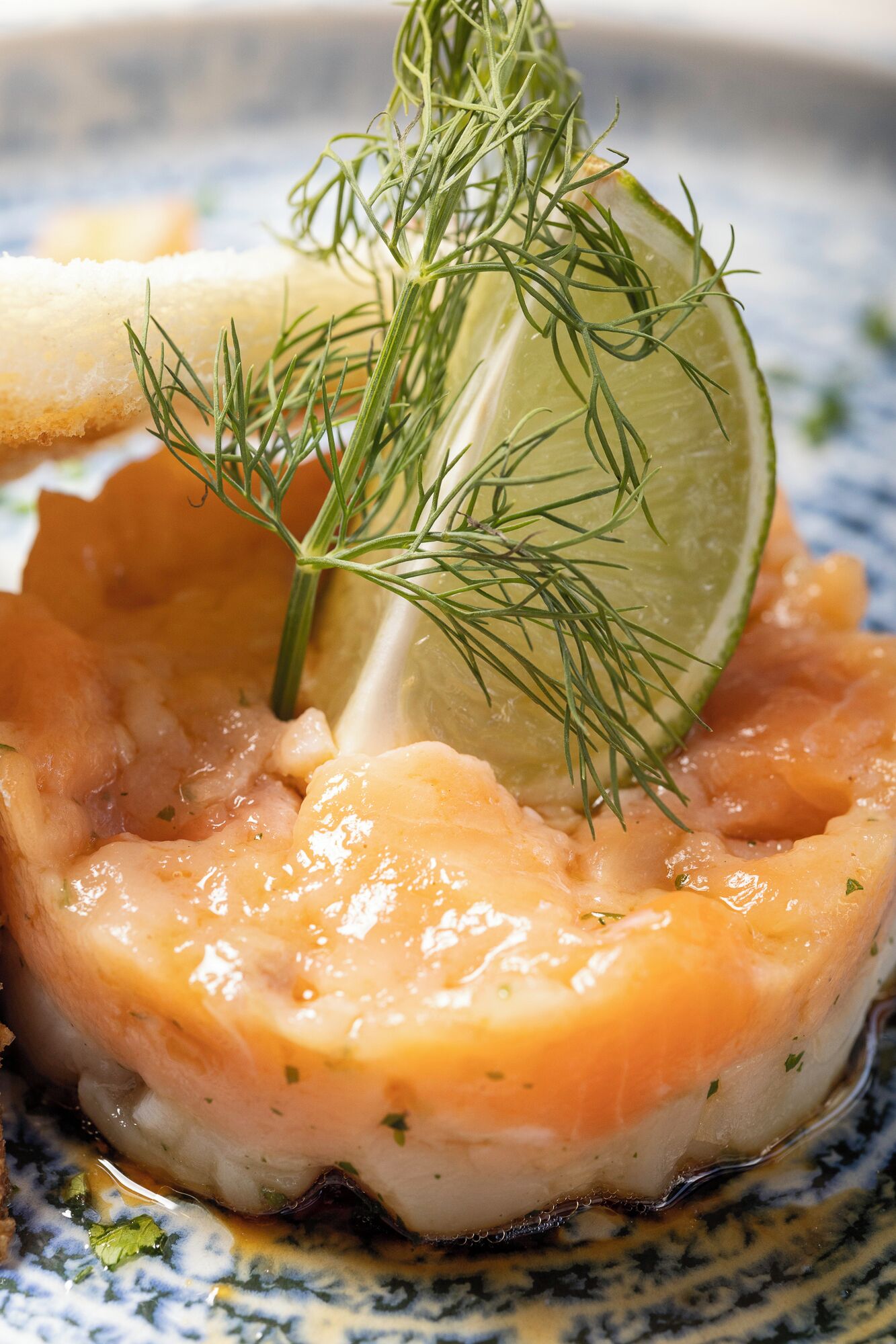 A dish of salmon with dill and a slice of lime on a ceramic plate.