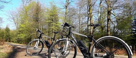 Deux vélos sont garés sur un chemin de terre, avec des arbres en arrière-plan.