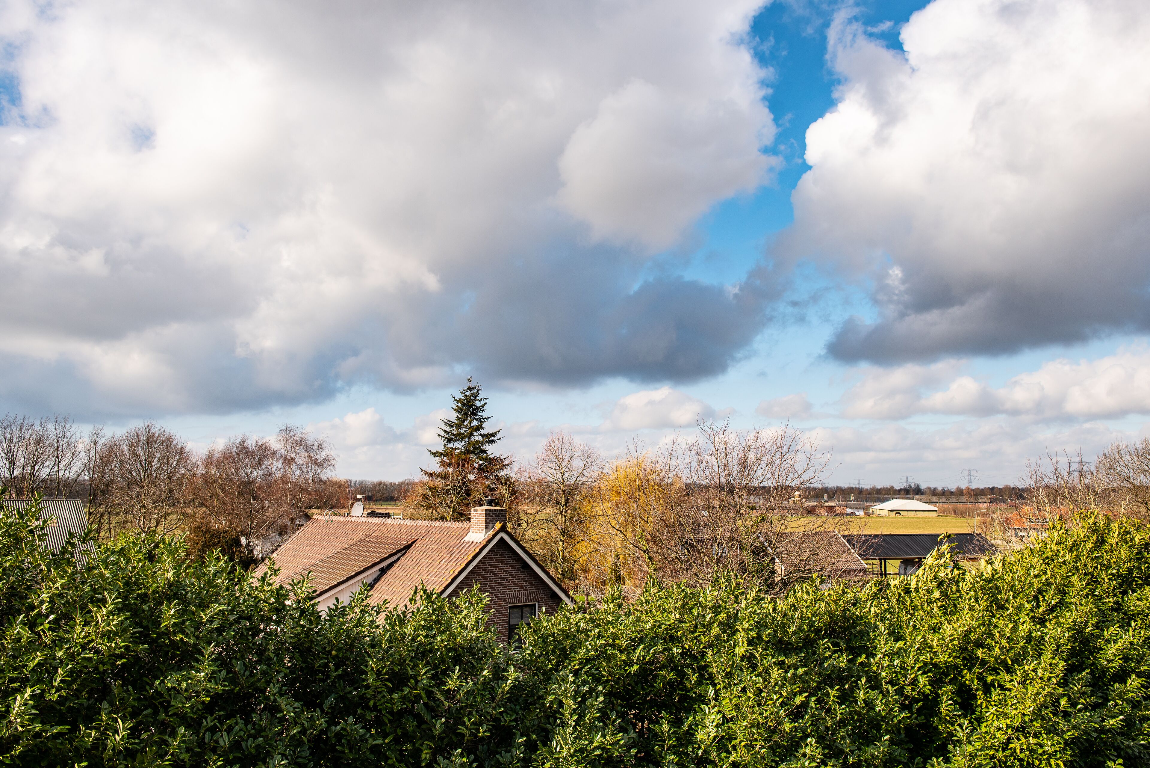 basic triple room | garden view