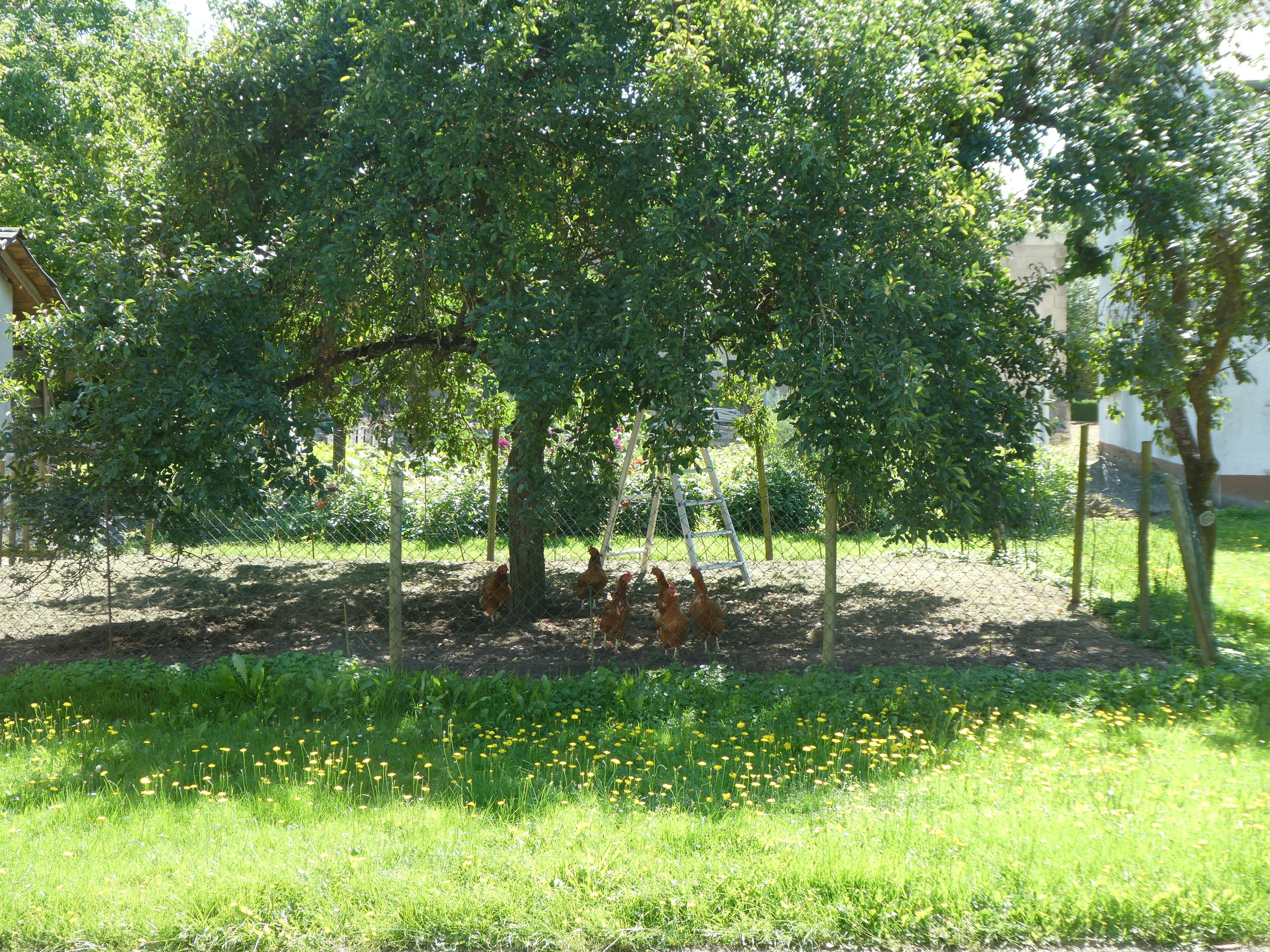 comfort apartment, 3 bedrooms | view from room