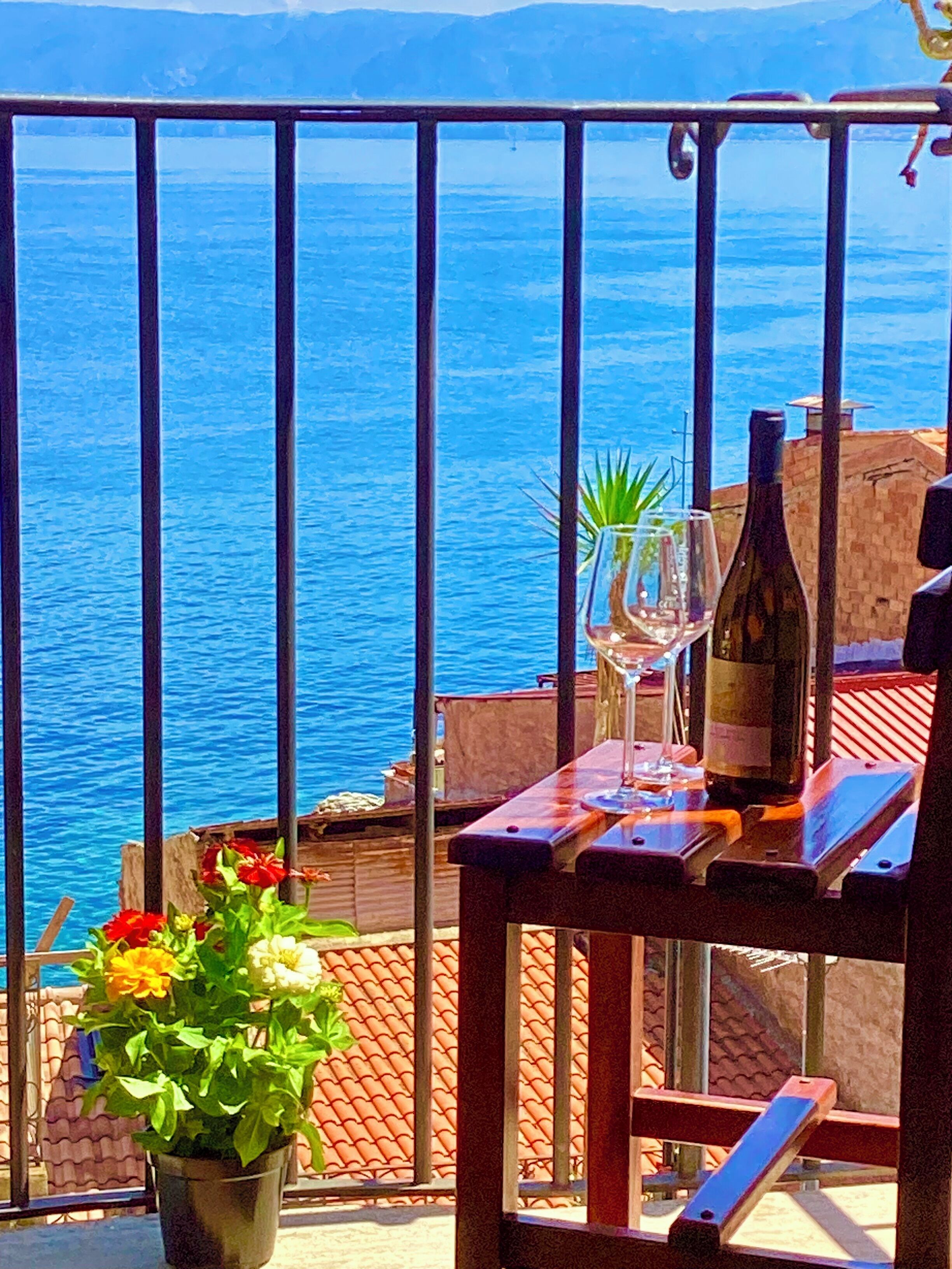 A balcony with a view of the sea, a potted plant, a wine bottle, and a glass.