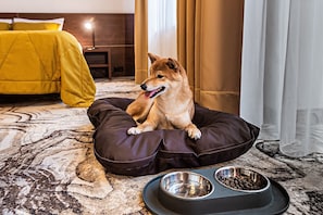 Pet-friendly - Palangos Vetra (Palanga)