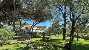 A house surrounded by trees and grass. - Solar do Magoito (Sintra)