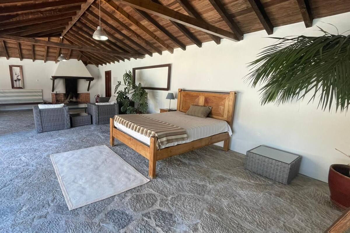 A bedroom with a bed, a wooden headboard, a nightstand, a lamp, a potted plant, and a stone-textured floor.