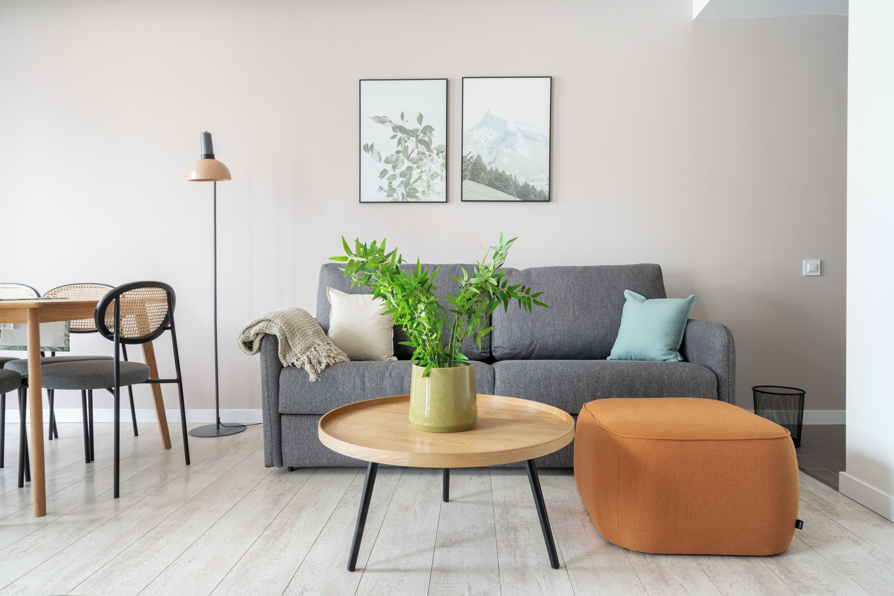 Un salon moderne avec un canapé gris, une table basse ronde en bois agrémentée d’une plante verte, un pouf marron et un coin repas avec une table et des chaises en bois.
